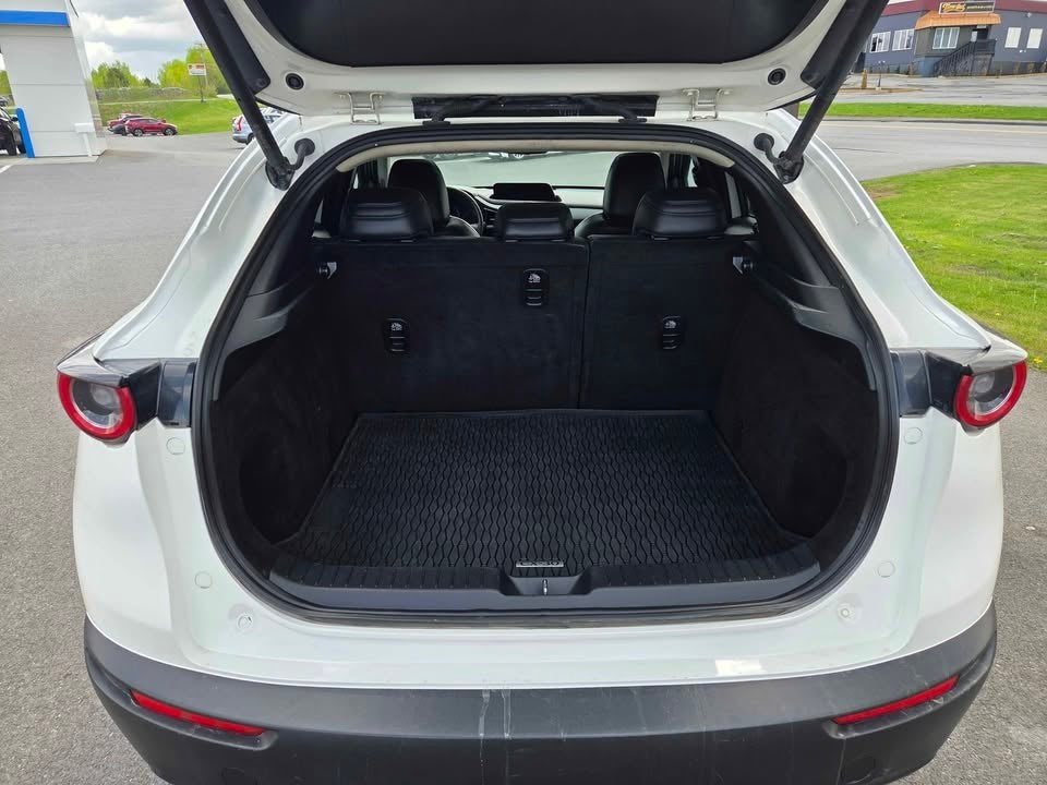 2022 Mazda Mazda CX-30 2.5 S Premium Package